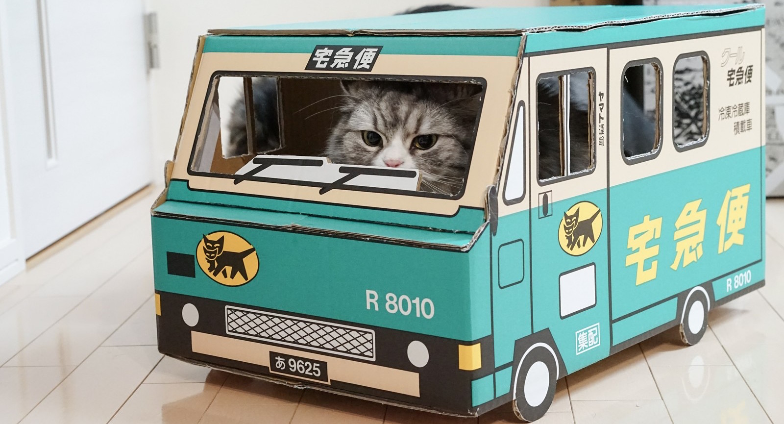 佐川急便のトラックの中に猫が入っている